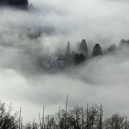 Villa La Petite Ferme à Rochehaut Extérieur photo